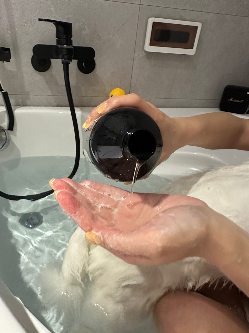 女人知己試用大隊,口碑行銷,部落客行銷,Downy Belly毛肚子,Downy Belly 保濕滋養胺基酸洗毛精,紅球薑淨膚配方,Downy Belly 保濕滋養胺基酸洗毛精-紅球薑淨膚配方,洗品天生防禦力，皮膚天生就很強,除了洗乾淨，其他的真的先不用,胺基酸清潔因子,好的界面活性劑，才能好洗,好沖淨,不易殘留,適量的細緻泡泡,狗貓皆適用,加拿大毒物學家安全把關,100%環保回收料再製瓶器,零廢棄為目標,低敏洗毛精,寵物訓練師好評,Downy Belly毛肚子,Downy Belly 皮膚救急胺基酸洗毛精,IPMP舒緩配方,Downy Belly 皮膚救急胺基酸洗毛精-IPMP舒緩配方,洗品天生防禦力,皮膚天生就很強,除了洗乾淨,其他的真的先不用,胺基酸清潔因子,APG+胺基酸清潔因子,IPMP高安全的成分,好的界面活性劑,才能好洗、好沖淨、不易殘留,適量的細緻泡泡,狗貓皆適用,加拿大毒物學家安全把關,100%環保回收料再製瓶器,零廢棄為目標,低敏洗毛精,寵物訓練師好評